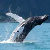 Image of On the Water