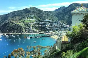Tour image of Discover Avalon: Catalina Scenic Tour