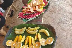 Tour image of Embera Village Day Tour, Chagres River & Waterfalls + Lunch, Fruits & Water