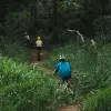Image of Mountain Bike Tours