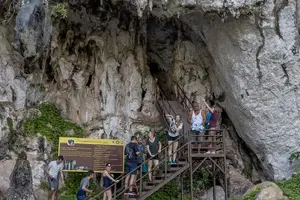Tour image of Khao Sok Jungle & Lake Adventure - Private