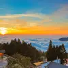Image of Romantic Tours