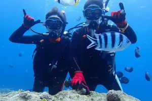 Tour image of Snorkeling in The Blue Cave from a Boat