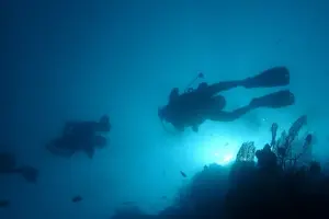 Tour image of Scuba Diving from Koh Yao Yai