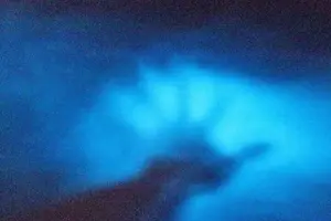 Tour image of Unforgettable One Day Bioluminescent Kayak Adventure in Vieques