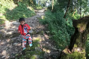 Tour image of Australian Camp and Dhampus easy hiking