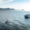 Image of Eco Tours