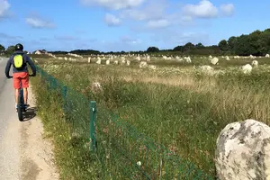 Tour image of Off-road electric scooter-2h30 guided by GPS- "Carnac"