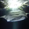 Image of Freediving