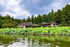 Tour image of 4-Hour Hangzhou Highlights Tour of Lingyin Temple and West Lake