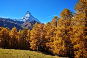 Tour image of Gornergrat Private Full Day Hiking Tour