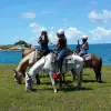 Image of Pack Animal Tours