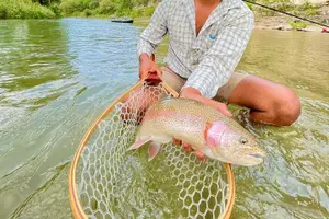 Tour image of Full Day Guided Fishing Tour in Canyon Lake