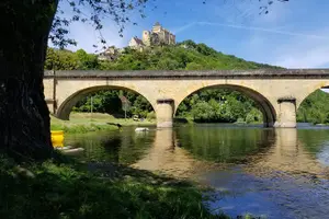 Tour image of Canoe Butterfly