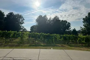 Tour image of Private Arrington Wine and Franklin Dine Tour from Nashville