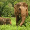 Image of Zoos & Wildlife Parks