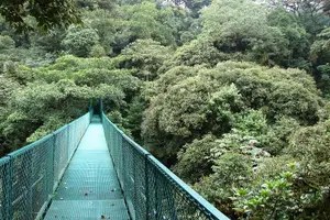 Tour image of Luxury day-trip off the beaten path to Monteverde Rain Forest