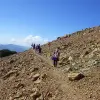 Image of Nature Walks