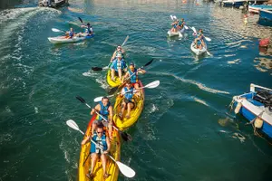 Tour image of 3 Hour Sea Kayak Trip in the Canals of Sete