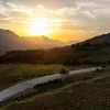 Image of Safaris