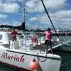 Image of Lunch Cruises