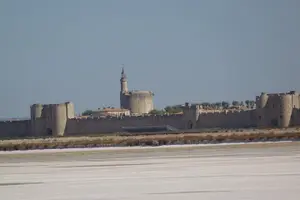 Tour image of Flamingos and traditions of Camargue Nature Park