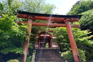 Tour image of Private Guided Half-Day Walking Tour in Yoshinoyama