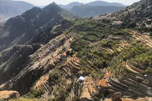 Tour image of Private Day-Tour in Nizwa and Jebel Akhdar