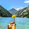 Image of Nature and Wildlife Tours