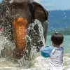 Image of Wildlife Watching