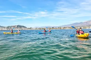 Tour image of Wildlife Kayak Tour in Santa Barbara Harbor (2 Hours)