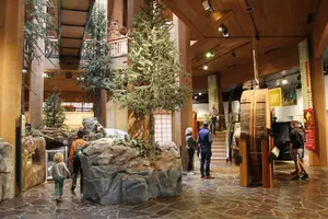 Tour image of Portland Sightseeing Tour Including Columbia Gorge Waterfalls