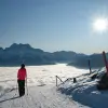 Image of Snowshoeing