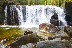 Tour image of Tour Around Phu Quoc island By AC Minibuses