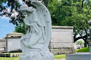 Tour image of History of New Orleans Private Driving & Walking Tour