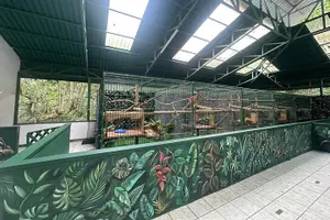 Tour image of Sloths & Limón Highlights: Wildlife & Culture Tour