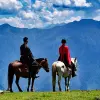 Image of Horseback Riding