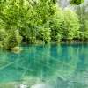 Image of Eco Tours