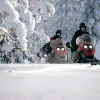 Image of Winter Sports