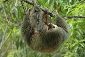 Tour image of Manuel Antonio National Park Hiking Tour