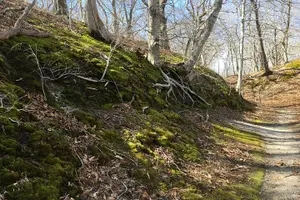 Tour image of National Seashore Tour with Guided Hike