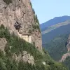 Image of Nature Walks
