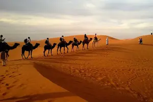 Tour image of 4hr Desert Safari: Sunset,Sunrise,Camel,Sand boarding,Inland Sea