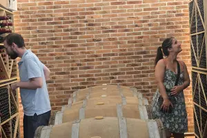 Tour image of Durrës Countryside Vineyard Experience with Wine & Food Pairing