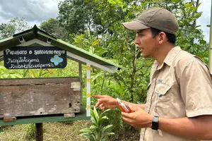 Tour image of Discover the fascinating world of native bees and healing honey
