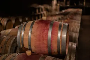 Tour image of Private wine tour in Côte de Nuits and Côte de Beaune