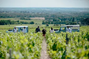 Tour image of Private half day Burgundy Wine and Food Tour by vintage Defender