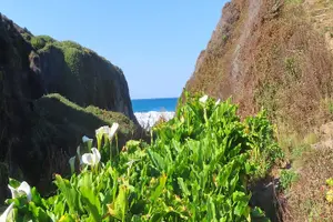 Tour image of Driving the California Coast: A Self-Guided Audio Tour