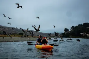 Tour image of Russian River Kayak Tour at the Beautiful Sonoma Coast