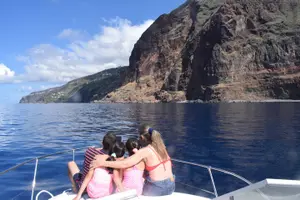 Tour image of Private Dolphin and Whale Watching Tour in Madeira